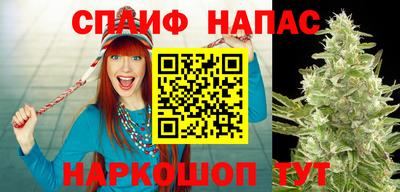 амф Лесосибирск