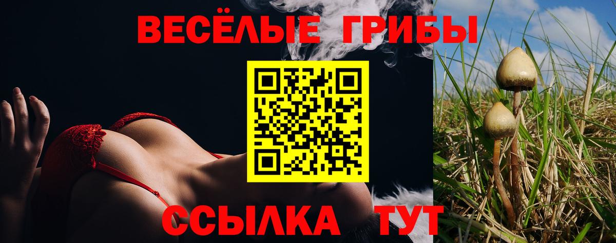 Галлюциногенные грибы прущие грибы Дзержинск